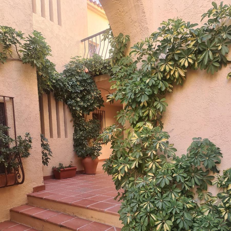 Apartamento En Lujoso Puerto Deportivo Алтеа Екстериор снимка